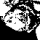 jorigel