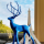 AK_Eric